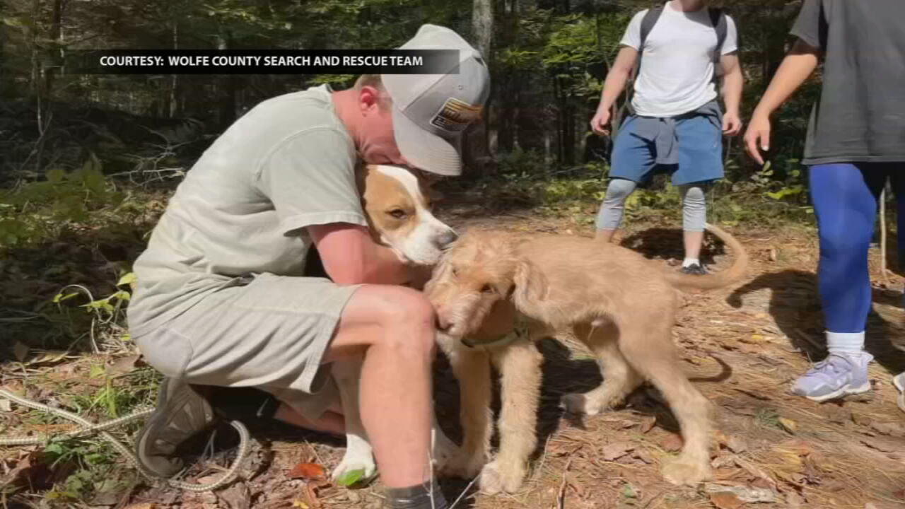 Dog survives 100-foot fall, rescued at Red River Gorge